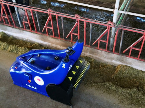 I-Bold - Afbeelding 2